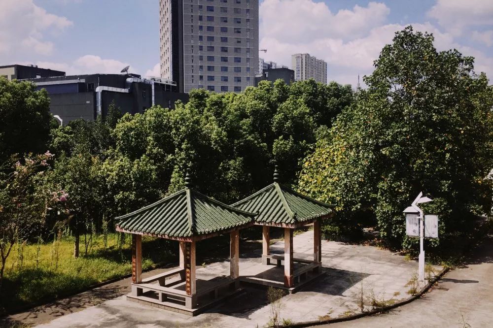 再见,桃源路285号!_奉化