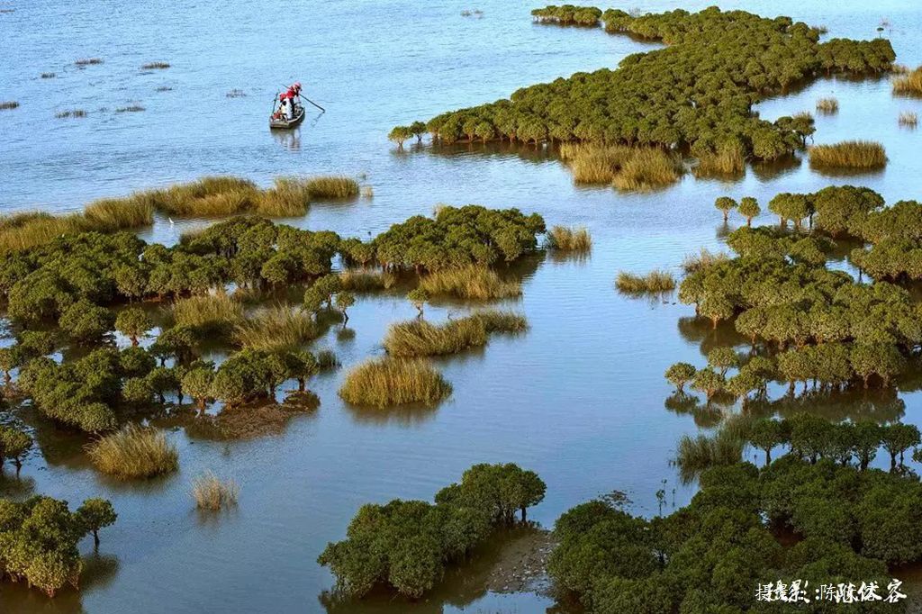 2019年11月2512月1日行摄闽浙霞浦温州丽水摄影人文风光深度摄影7天