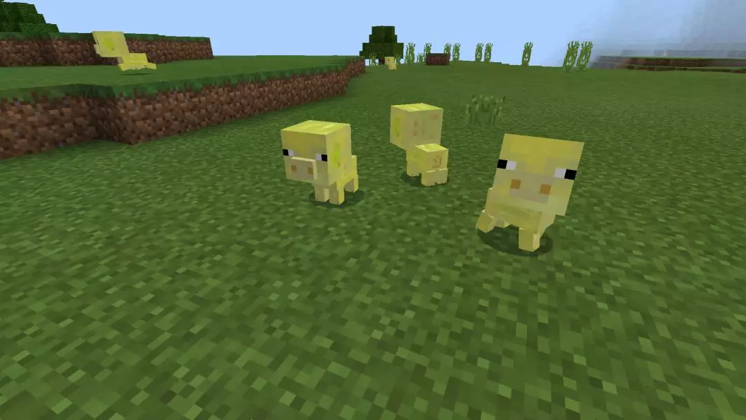 原创我的世界:有一种猪金光闪闪,能自由骑乘,更重要的是它还会这样