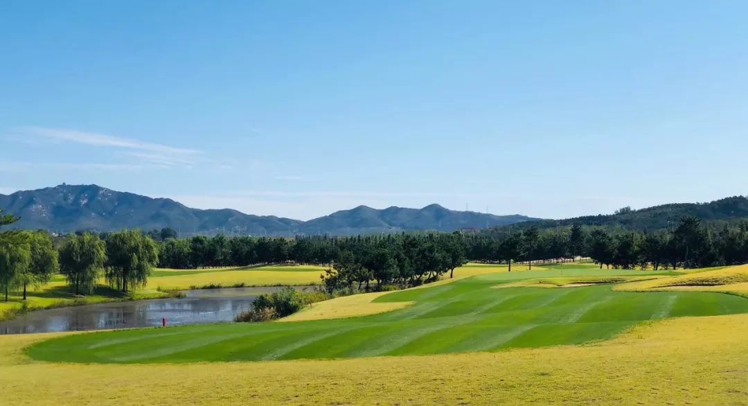 亚太百佳评选山东威海威高温泉球场打评记实