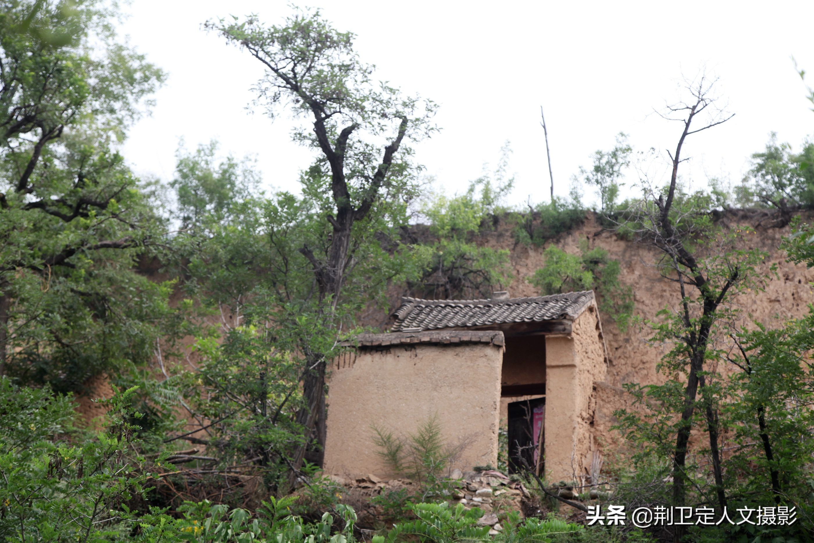 山西运城半山腰2户人家7旬打酸枣大娘说我叔住在上边