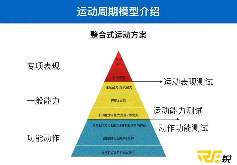 如果把运动训练比喻为金字塔,那么技术就是这座高塔的塔顶,力量.