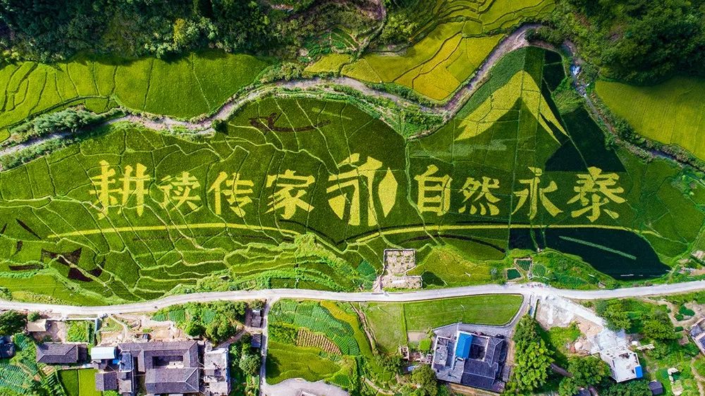 花一天时间在美丽永泰收获彩色稻浪首届耕读文化艺术节