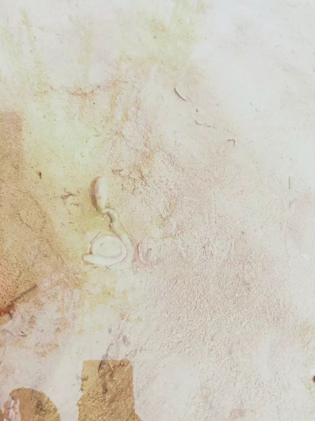 心趣蚯蚓死没死沙池里的小蚯蚓二