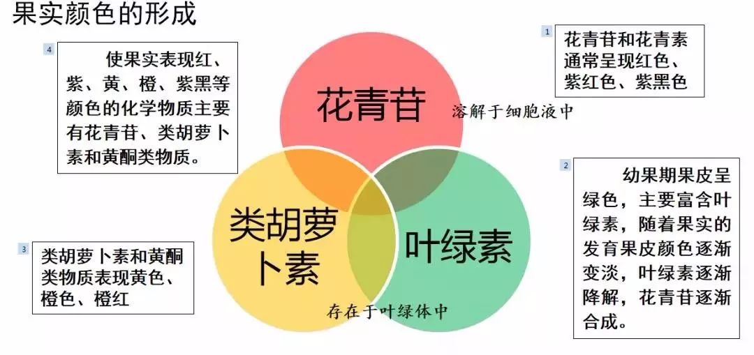 柑桔着色正当时这个转色套餐让你的果又红又甜品质高