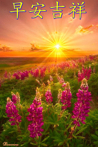 96121周末愉快早安30心语