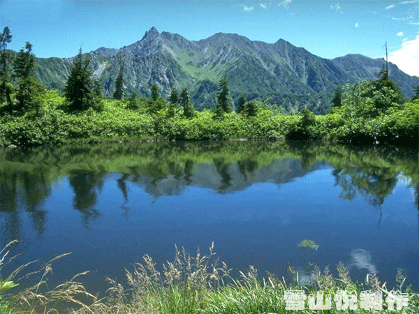 600_450gif 动态图 动图