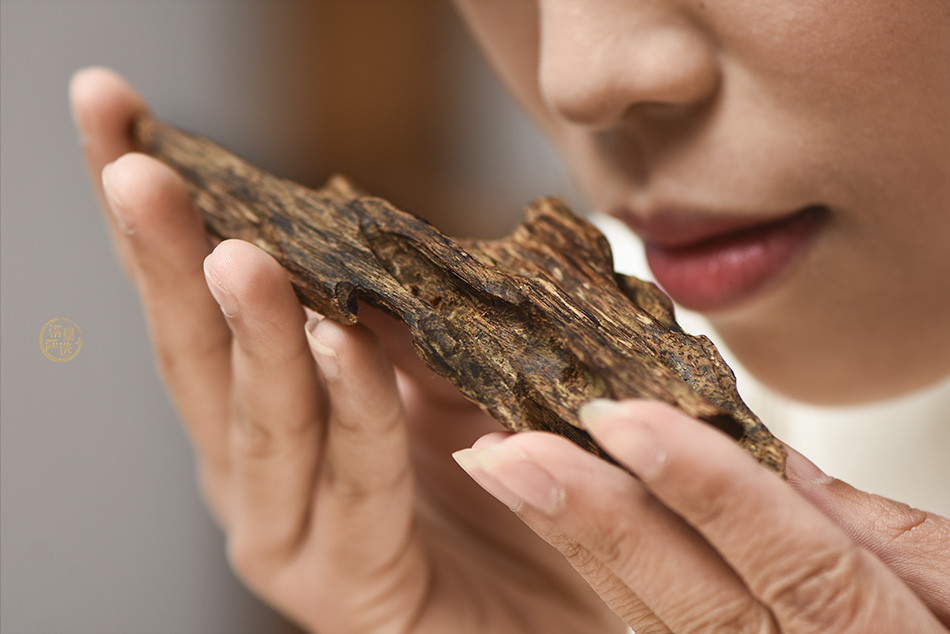 哪些沉香中带有"凉"味?