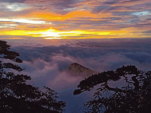 640_480gif 动态图 动图