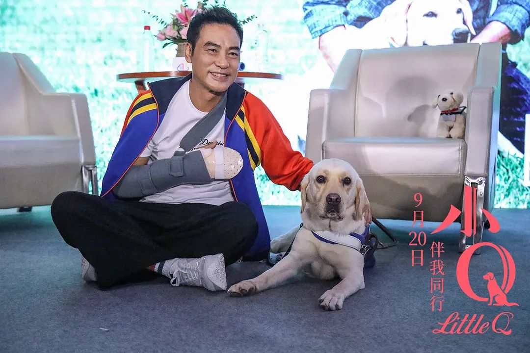 任达华与小狗从抗拒到不离不弃这部导盲犬电影小q温暖治愈