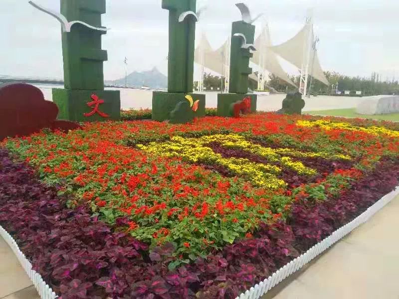 花草的合理搭配及图案的变化对道路两侧花坛进行鲜花更换和布置孔雀草