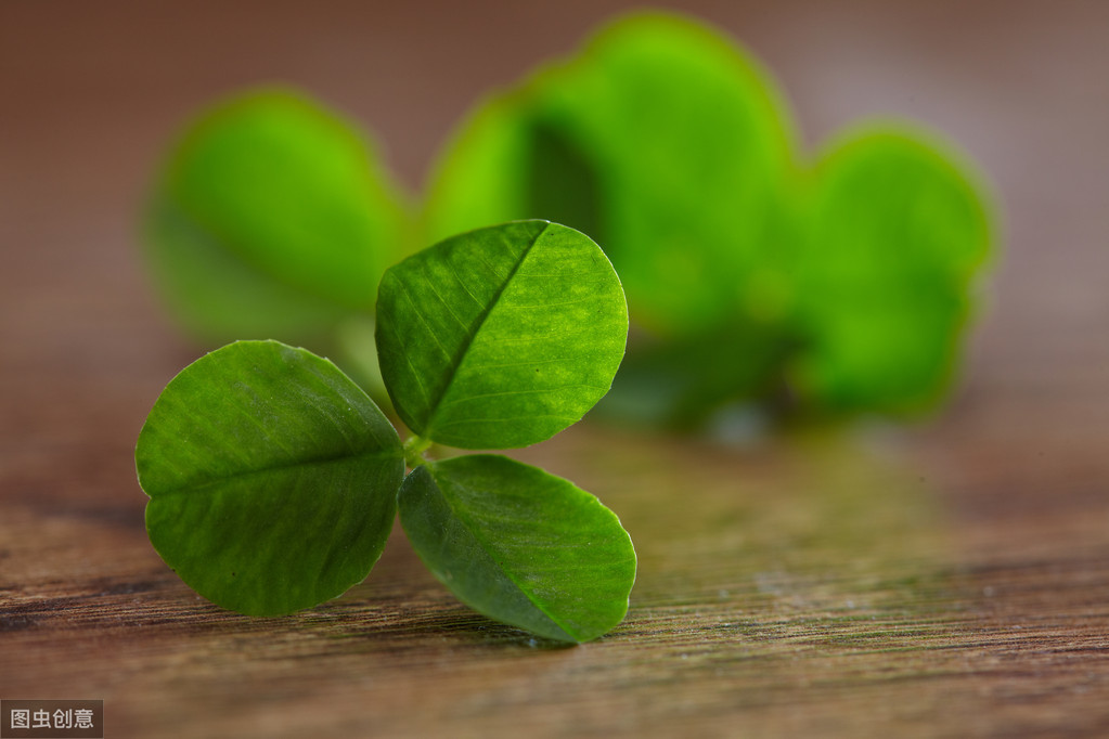 2020年福建省考综合_2020年福建省考试录用公务员面试工作在全省开展