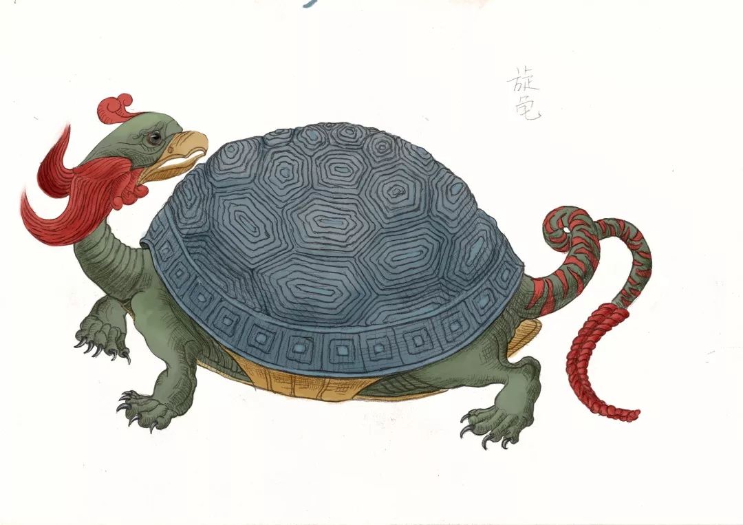 鼯鼠《奇兽》中飞鼠的全身示意图娃娃鱼《奇兽》中赤鱬的全身示意图