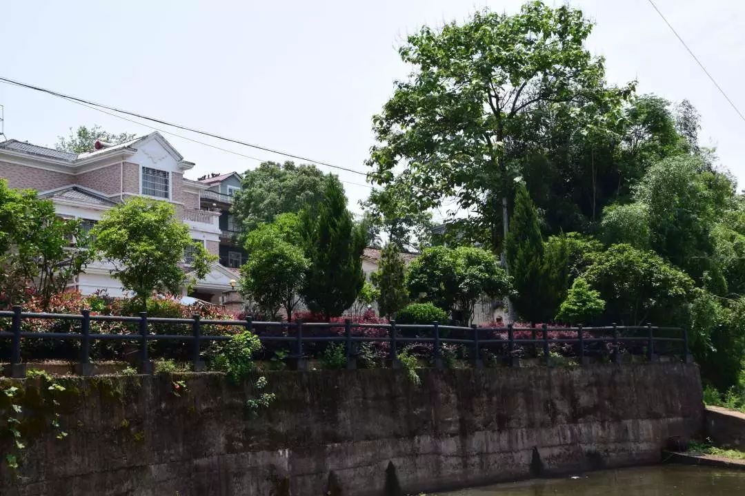 贺村幸福乡村行寺后的旖旎与远方