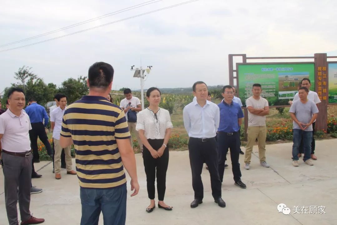 仙女镇向巷村019月20日下午,镇委书记甘喜梅,镇长孙清东带队,15个村