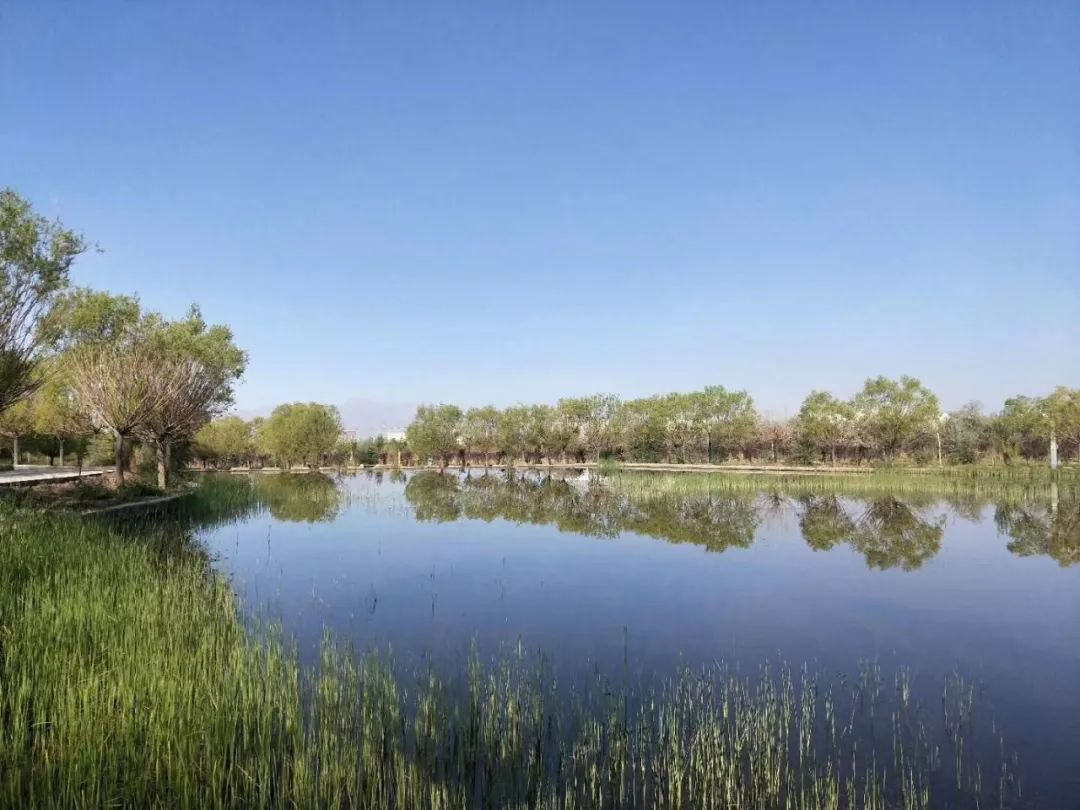 乌恰县国家卫生县城复审工作纪实