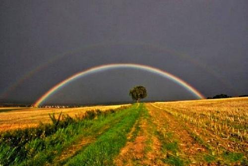 组图:全球各地异常美丽的彩虹景观_半圆形