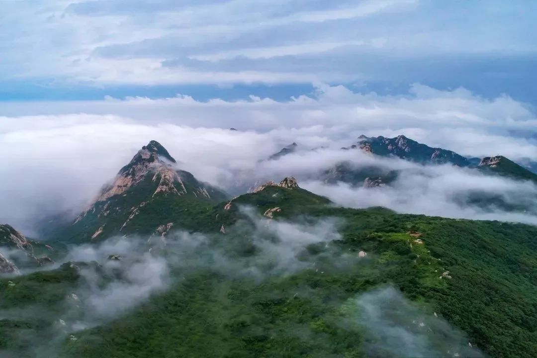 图片来源:烟台文旅不一会,云雾悄然流入又是一副新光景山峰穿梭在