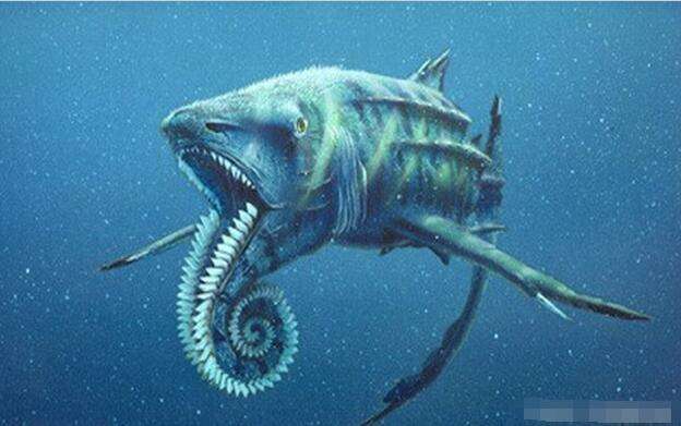 说到这我想到一首词:北冥有鱼,其名为鲲,鲲之大一锅炖不下,后化为鹏