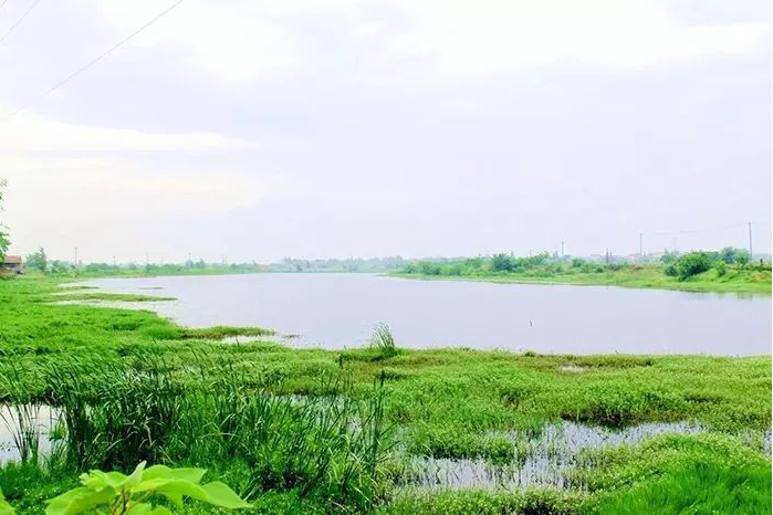 學習強國鄉情鄉愁湖北雲夢記憶中的好石橋