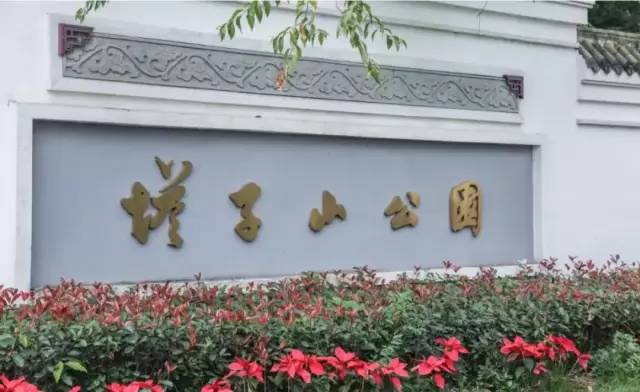 作为成都元老级的公园塔子山公园是很多人的儿时回忆顾名思义塔子山