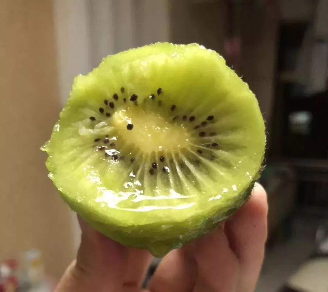 在园子里随便摘一个猕猴桃都沉甸甸的,皮薄肉厚,一口咬下去,汁水四溢