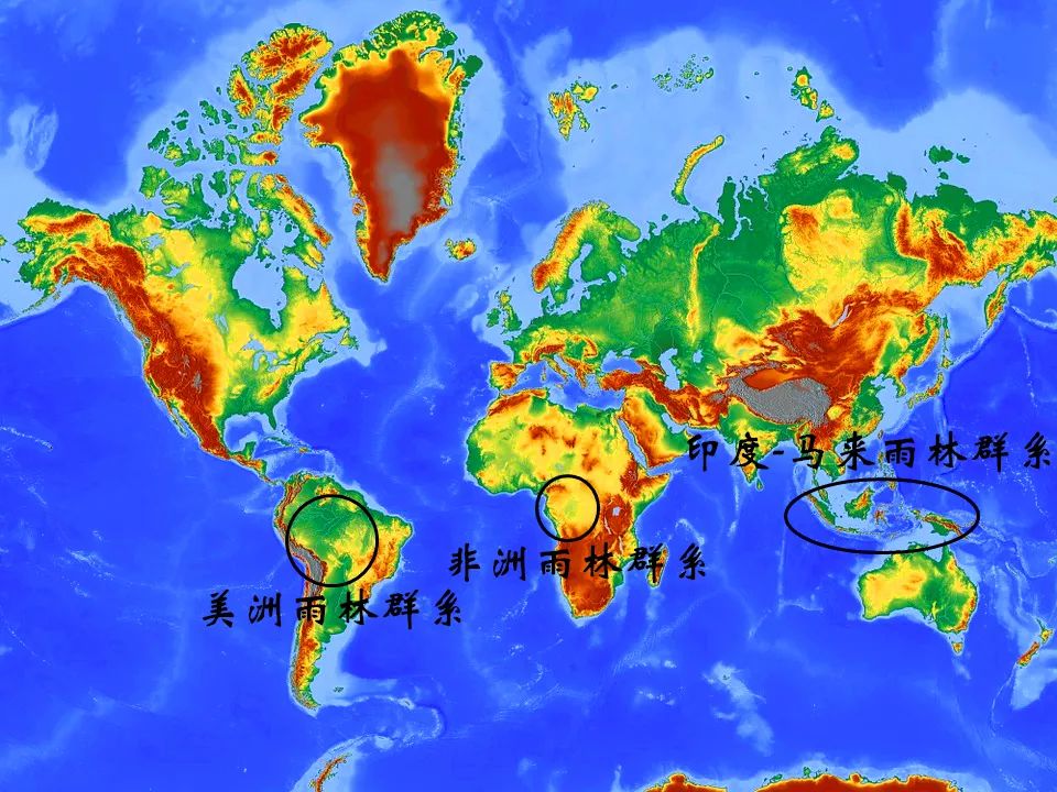 世界上三大热带雨林气候区主要分布在哪?