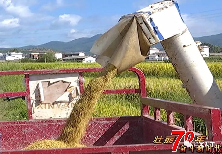 點贊| 從海簸到腳踏打穀機,再到機械化收割機……牟定農業發生了巨大