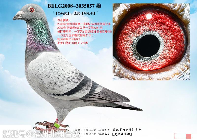 盖比的闪电号和它那些最出色的后代们