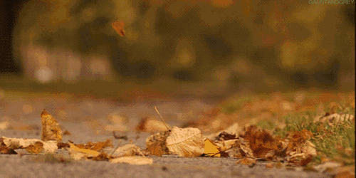500_250gif 动态图 动图
