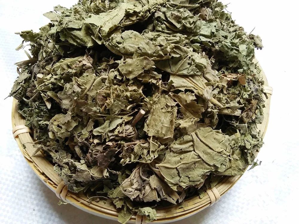 药师带你认草药木芙蓉