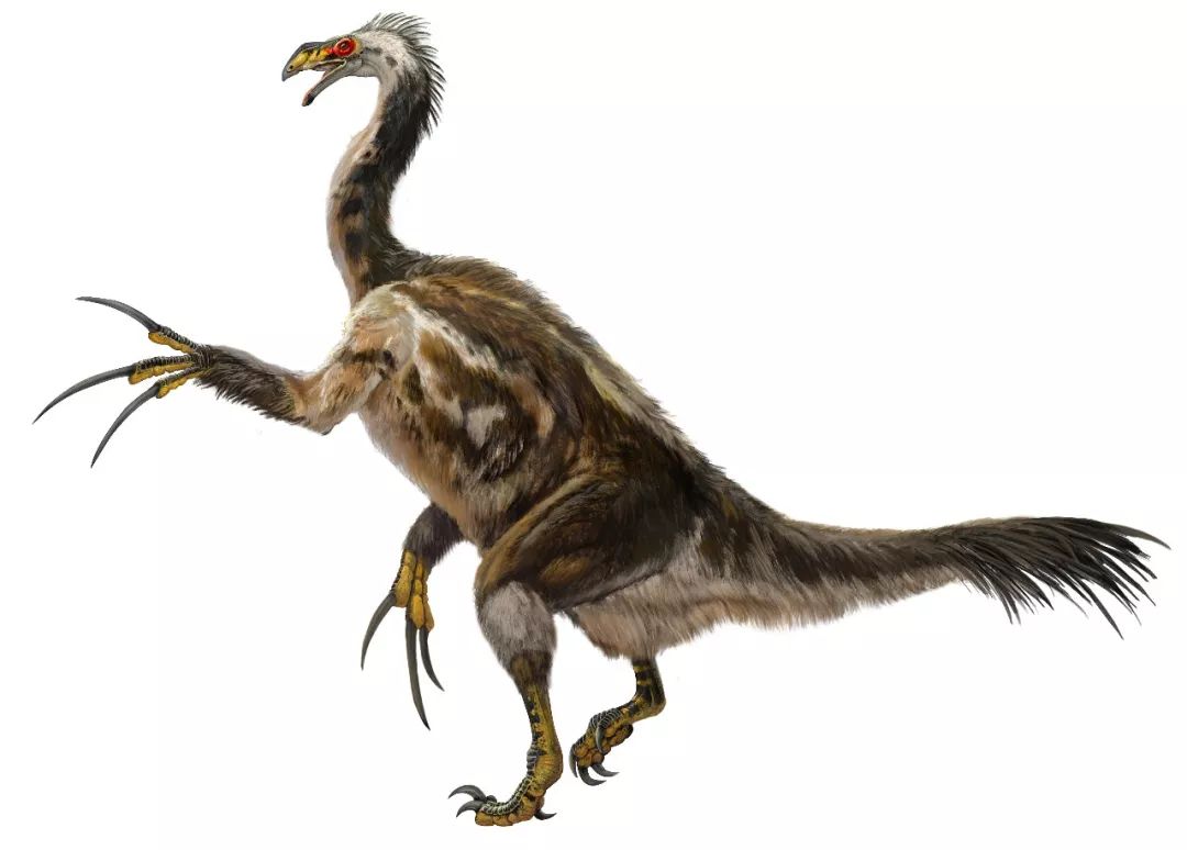 pnso化学工业出版社恐龙文创产品摩点众筹上线寻找消失的恐龙就是寻找