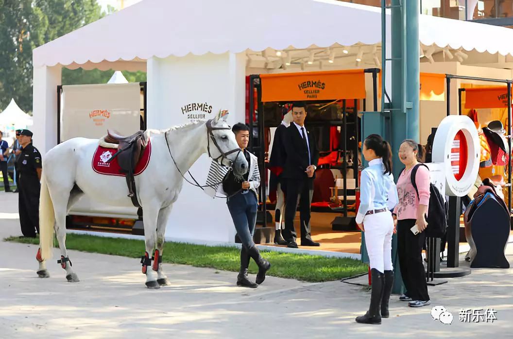 新乐体|北京国际马术文化周于天星调良马术开幕 赛展结合 马主题文化