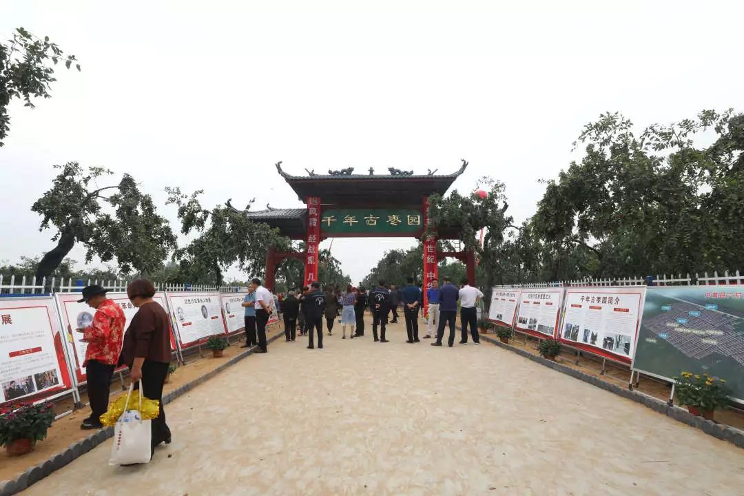 千年古枣园红枣文化节隆重开园