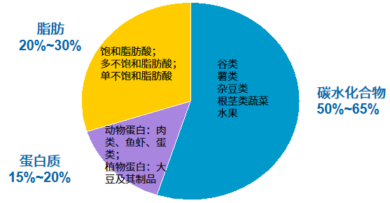 宏量营养素的最佳比例如何控制总能量?