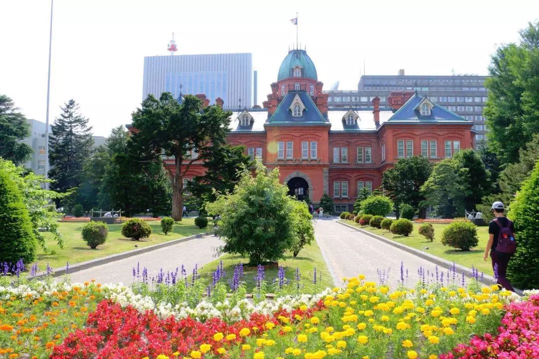 北海道舊道廳,札幌計時臺,大通公園,北海道大學銀杏大道~自由選擇.