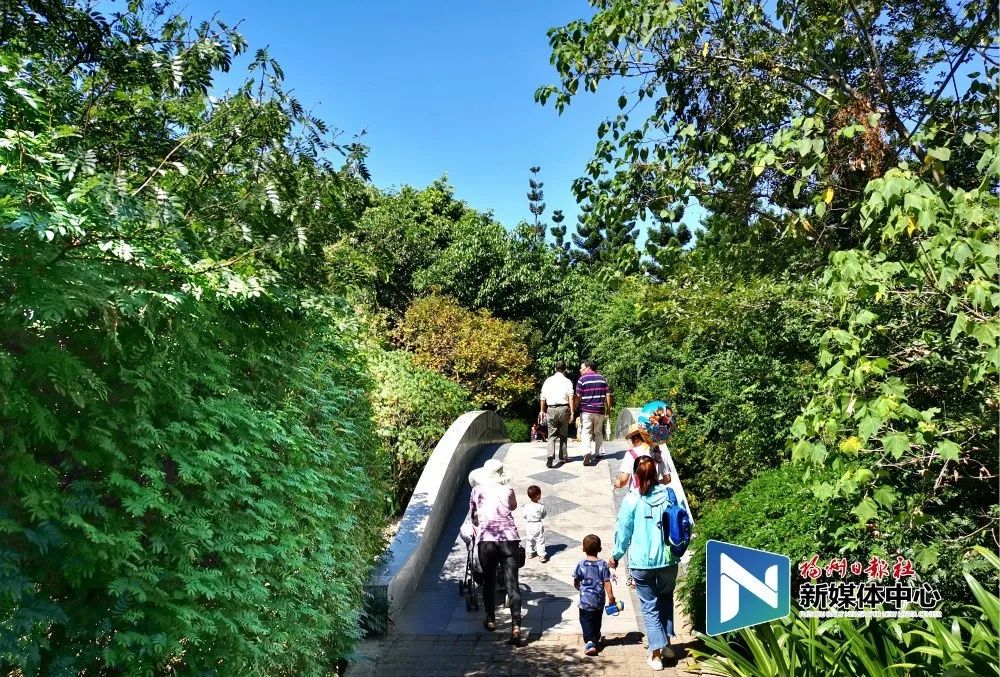 花溪中路的一側園路已經做好了進場前的準備金山公園部分園路和景觀或