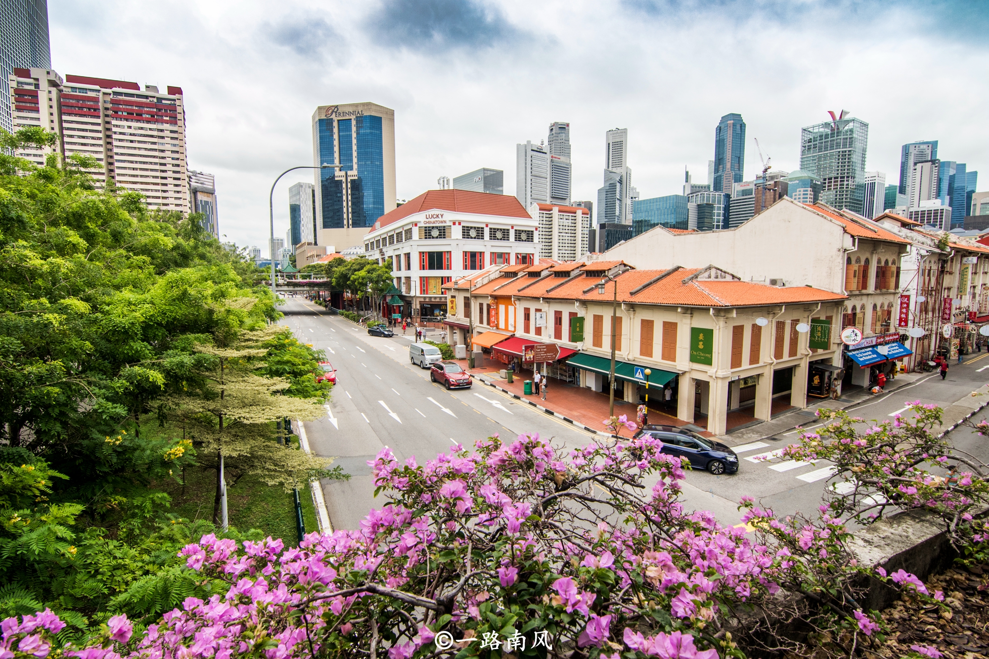 新加坡街景实况图片