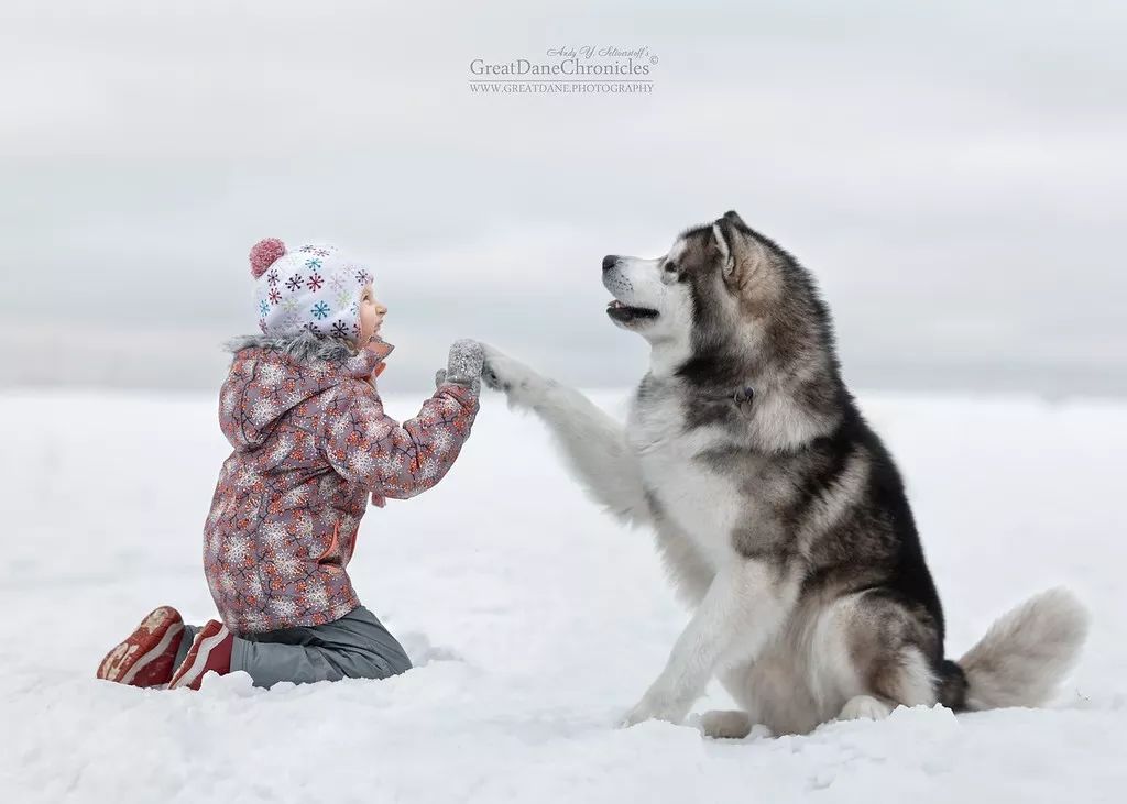 摄影欣赏小朋友和狗狗亲密无间的友情冬春