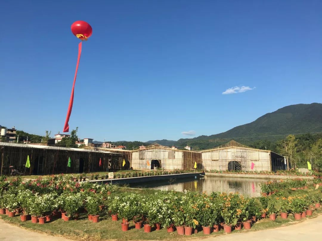 永春五里街镇埔头村中国农民丰收节来啦