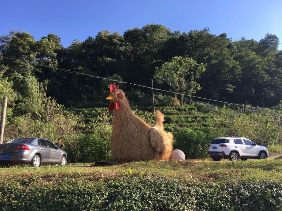 永春五里街镇埔头村中国农民丰收节来啦