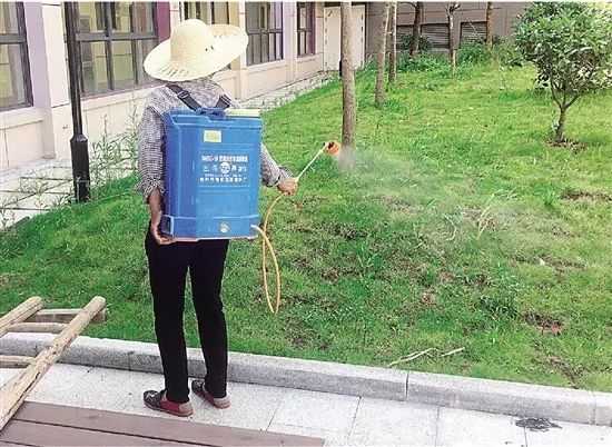 市井 | 草地里大面积出现水蜈蚣……要如何防治?