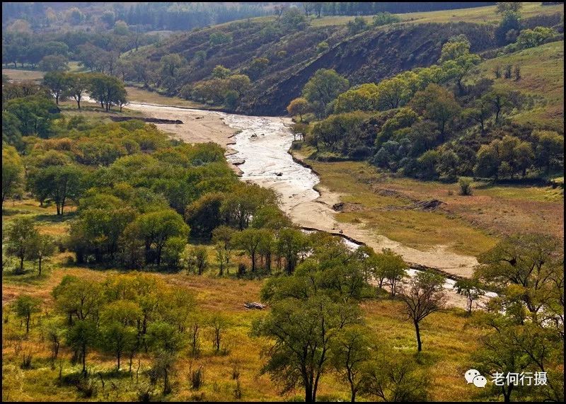 秋日绿洲古老天然的榆木川