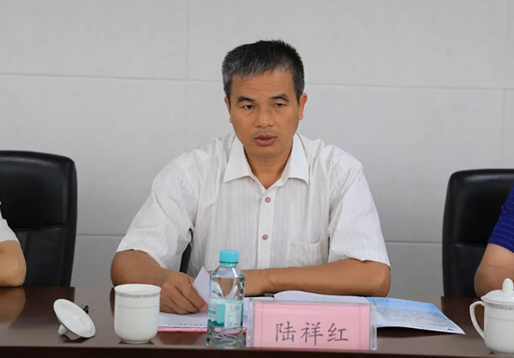 陆祥红黄正华率天峨县招商代表团考察企业开展招商