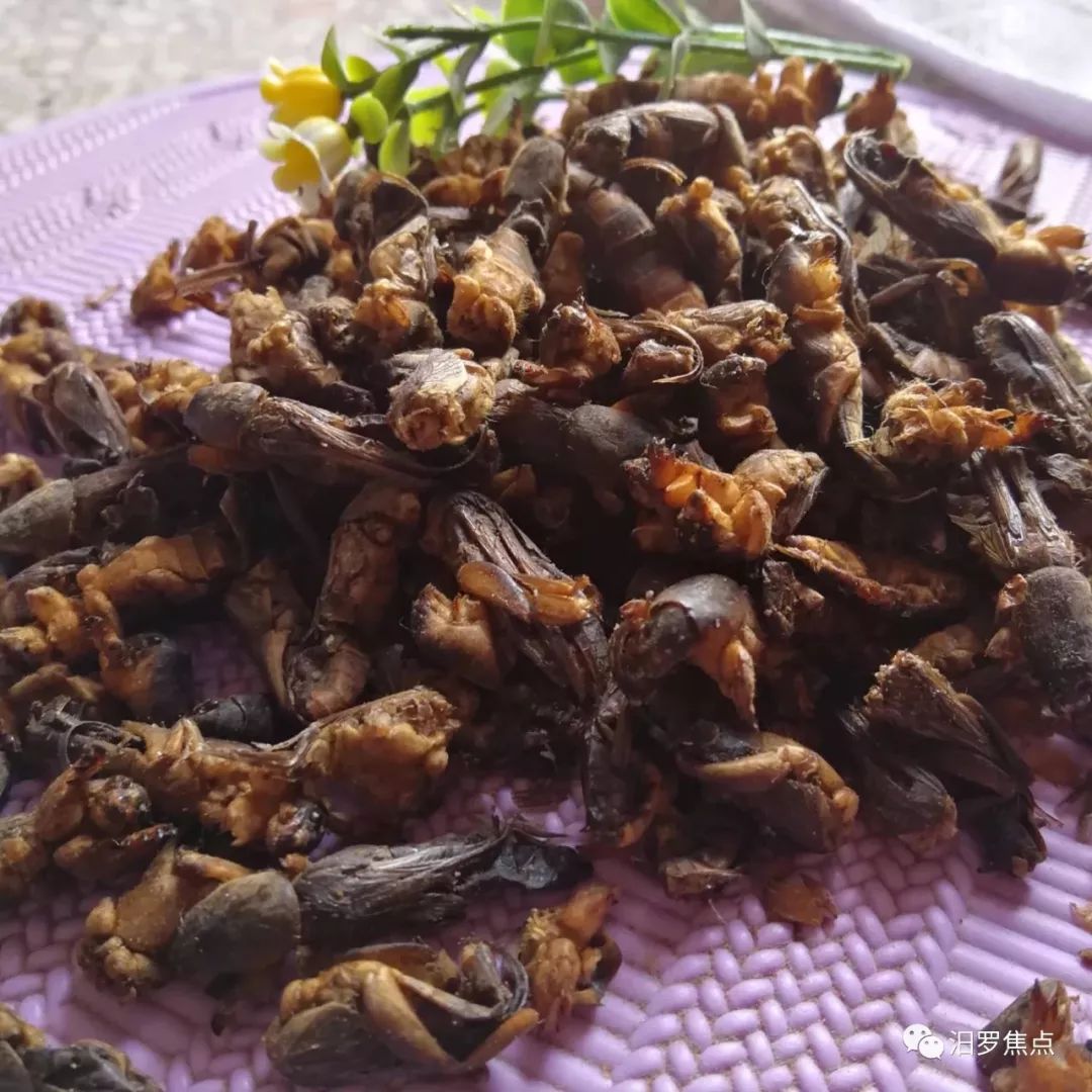 汨罗这种野味你敢吃吗餐馆卖得很贵经常断货