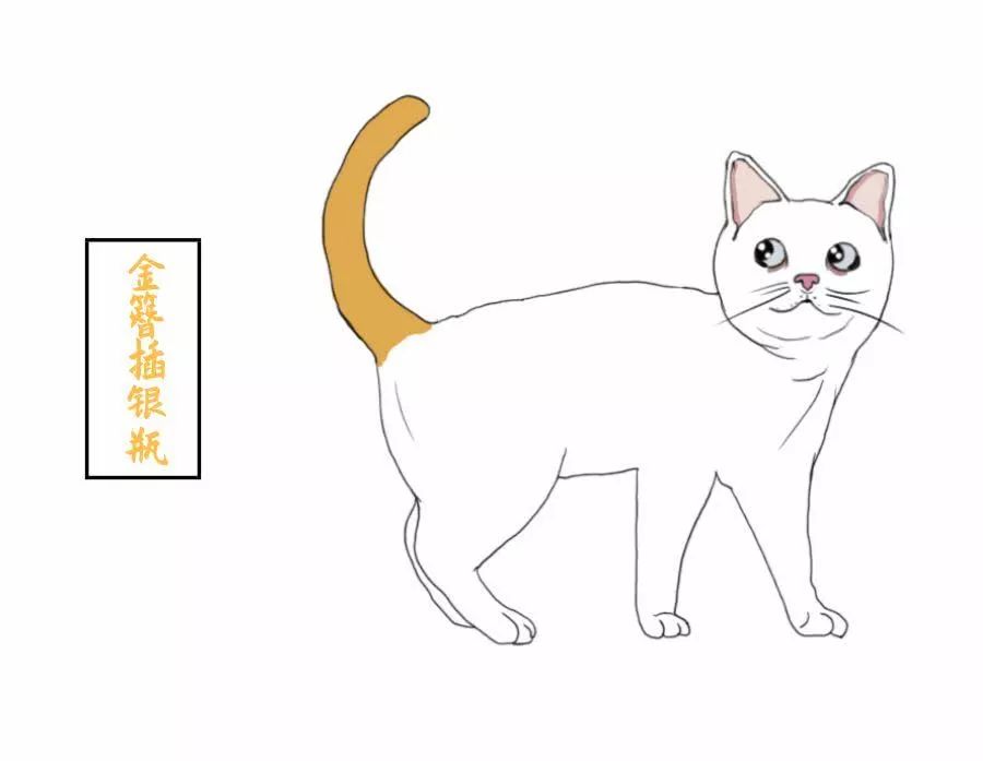 金簪插银瓶猫图片