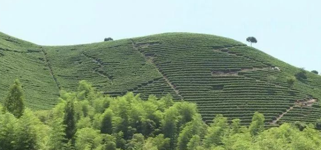 青山環繞,溪水流過