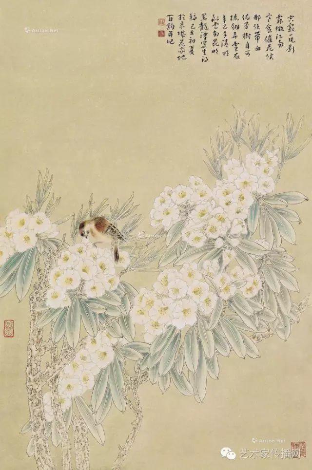 欣赏苏百钧工笔花鸟作品欣赏