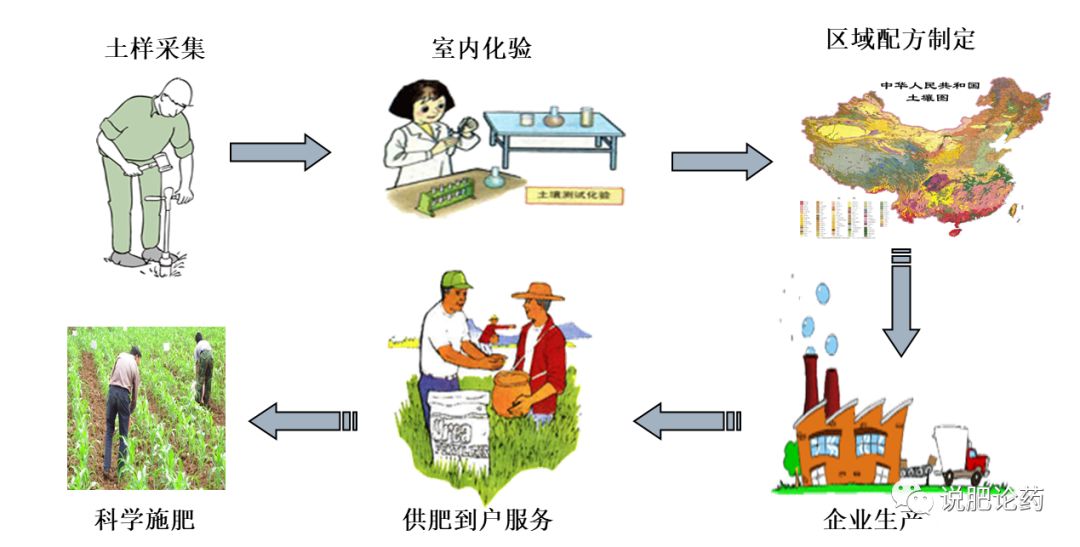 权威科普西瓜养分需求规律与科学施肥