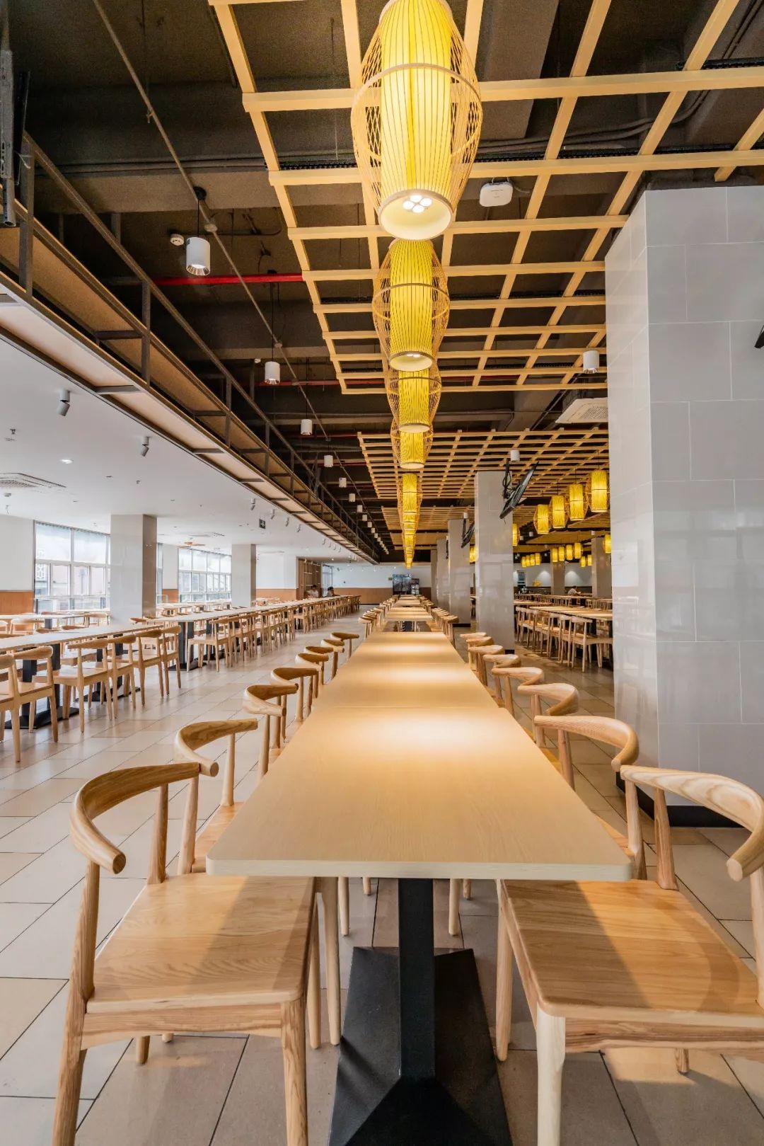 别人家的大学食堂丨同济篇